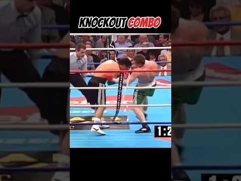 Perfect Hook to Liver Shot ⚡#boxing #fighter #shortvideo #skills