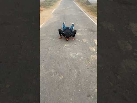 YouTube Thumbnail