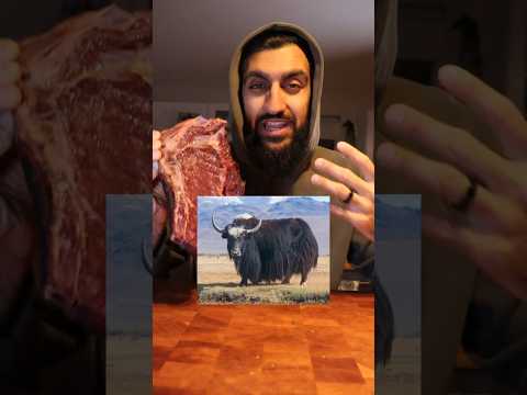 Let's Try YAK Meat