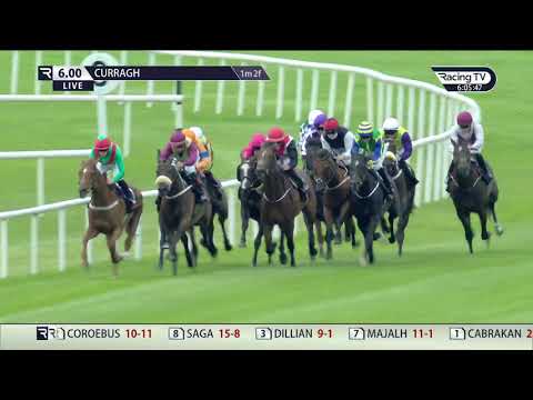 The Fitzdares Royal Whip Stakes Group 3, August Festival of Racing - Earlswood