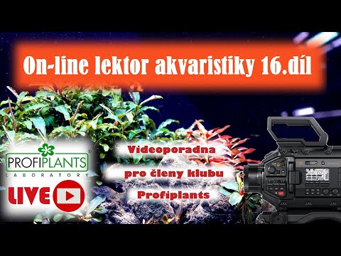 Vysílání pro členy klubu Díl 16 - 5.8.2023 v 17 hodin