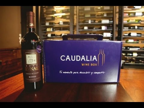 Cata Bodega Cantine LVNAE Bosoni-Auxo-2013- DOC Colli Di Luni-Italia/ Caudalia Wine Box Junio 2016