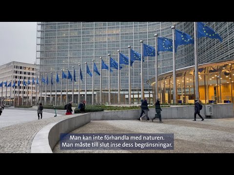 Forskarnas vädjan om ett varsamt Östersjöfiske – följ med Östersjöcentrums fiskexperter till Bryssel