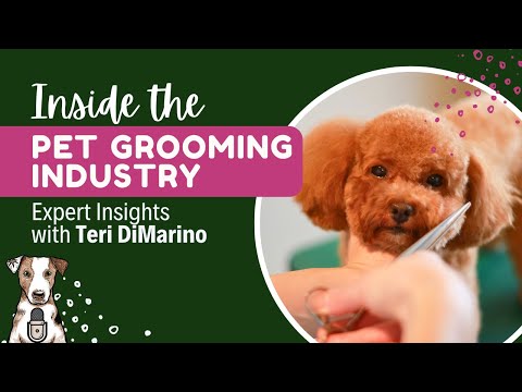 Katiedidit Grooming Reviews