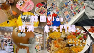 【韓国Vlog】カンジャンケジャンたべた🦀ナイキカスタムも【明洞・東大門】Korean trip✈️🇰🇷NIKE👕