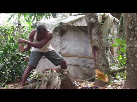 fiovan'ny toetr'Andro