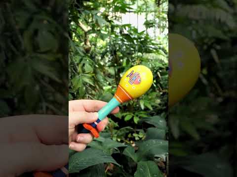 A beautiful set of three instruments - DJ06016 | DJECO