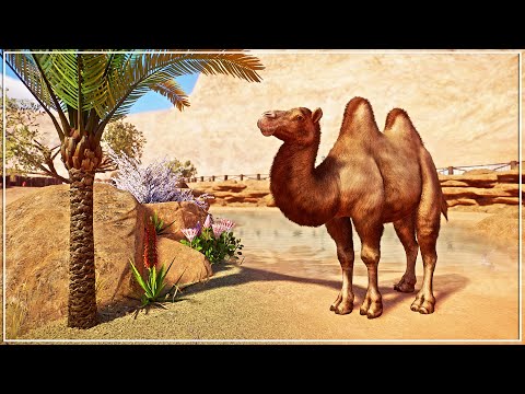 Building the ULTIMATE Desert Zoo in Planet Zoo Franchise Mode