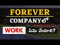 Forever Companyలో Work ఏమి చేయాలి? Work in Forever Business | FLP