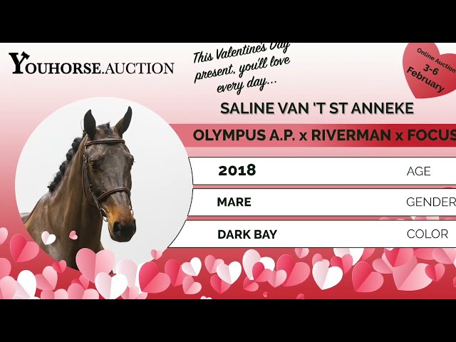 Saline Van 'T ST Anneke @ the show