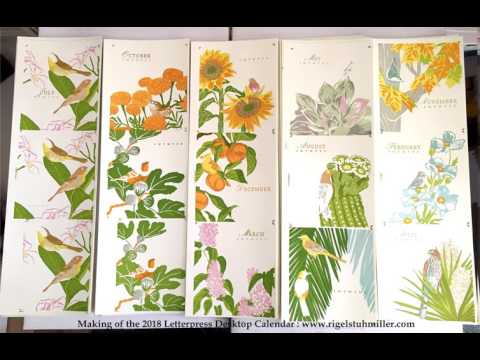 download lagu mp3 mp4 Rigel Stuhmiller, download lagu Rigel Stuhmiller gratis, unduh video klip Rigel Stuhmiller