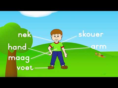 Fun and Easy Afrikaans Lesson: Learn Body Parts Vocabulary for Grade 1
