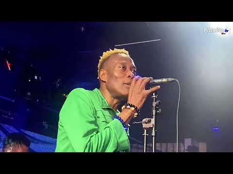 DISIP ASSE LIVE @CLUB IVY WEST PALM BEACH 18 JUILLET 2025