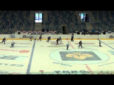1. mistrák 2.9.2015 Piráti Chomutov- HC Sparta Praha 2:7