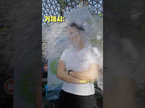 [거제시X태백시 공무원의 눈물] #다른겨울같은대비