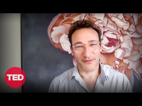 Sample video for Simon Sinek