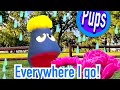 Pups Everywhere I Go