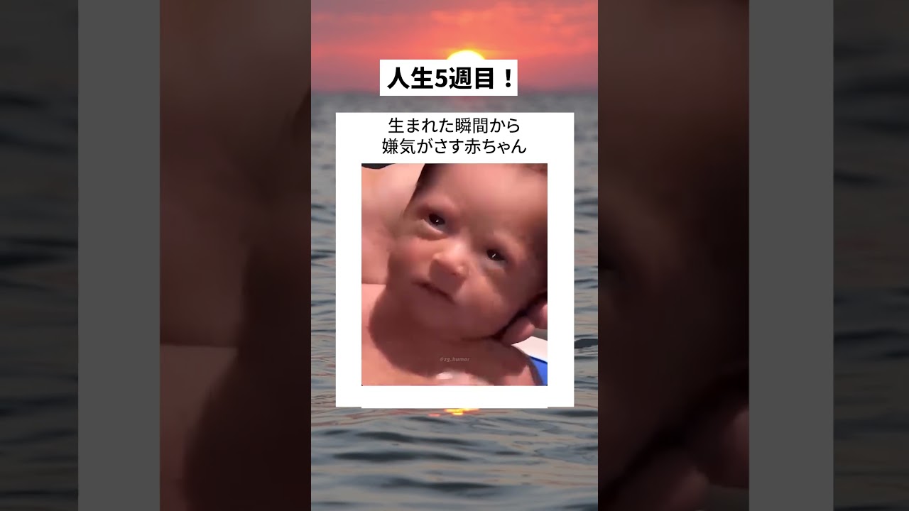 生まれた瞬間から嫌気がさす赤ちゃん#おすすめ #おもしろ