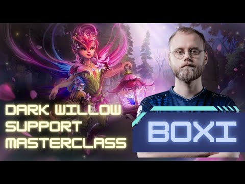 BOXI DARK WILLOW POS 4 | Liquid vs Zero Tenacity | WEU Grand Final DLS28 | PlaymakerPOV