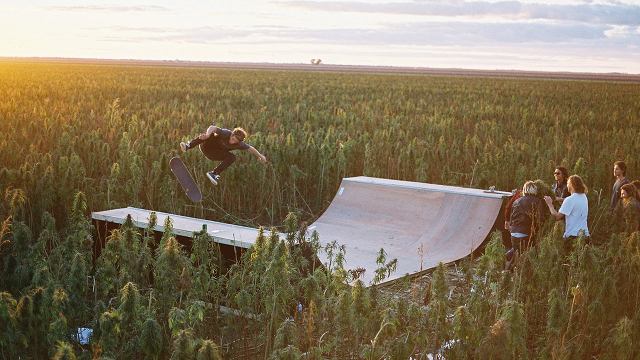 Patinando en un campo de marihuana