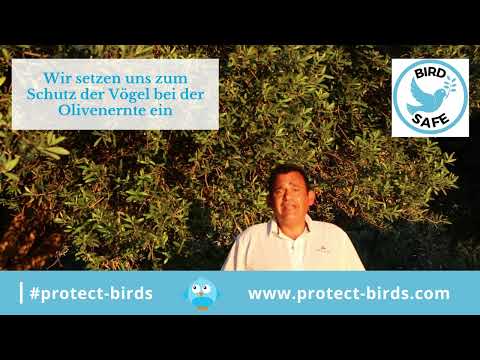 Vogelmord in den Olivenhainen - wir setzen uns zum Schutz der Vögel ein