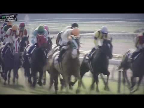 YUSHUN HIMBA (JAPANESE OAKS ) G1-STAKES  -3-YEAR OLDS FILLIES -SOUL STIRRING !!!