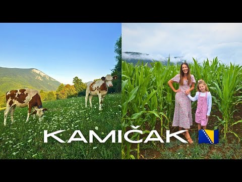 Wir sind zurück in Kamičak, einem Dorf zwischen SANSKI MOST und KLJUČ 🇧🇦 | Dorfleben