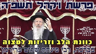 פרשת ויקהל תשפ"ה-הרב פינחס שלום פרידמן-כוונת הלב וזריזות למצוה