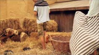 Animal Collective - Taste