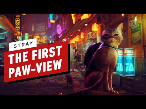 Stray Teases Clever Cat Gameplay in a Beautiful World