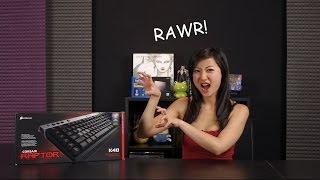 Video thumbnail for Corsair Raptor K40 Gaming Keyboard Review by Joanne Tech Lover