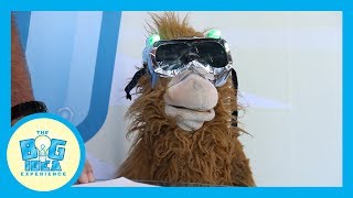 Adventures with Artie: Kindness