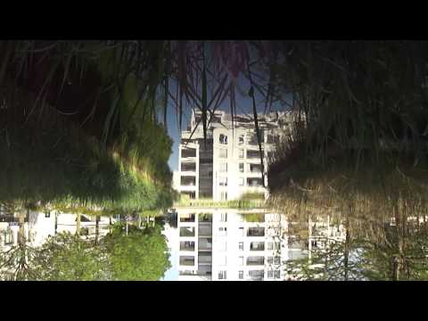 101 -One minute of videoart every day - What's reality?