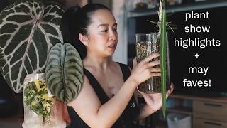 plant show tour & favorites plants i'm growing right now! 🌸
