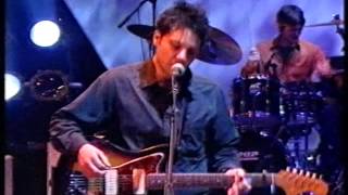Wilco - I&#39;m The Man Who Loves You (live on Later)