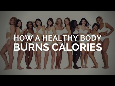 download lagu mp3 mp4 Body Balance Calories, download lagu Body Balance Calories gratis, unduh video klip Body Balance Calories