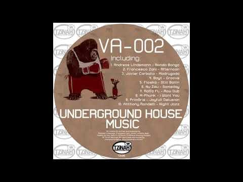 Francesco Zani - Afternoon (Original Mix) // TZH015