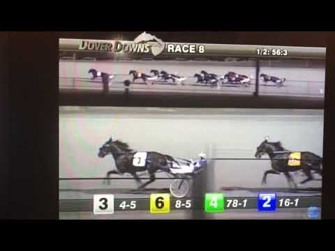 Matron Stakes Elimination - Hurrikane Kingcole