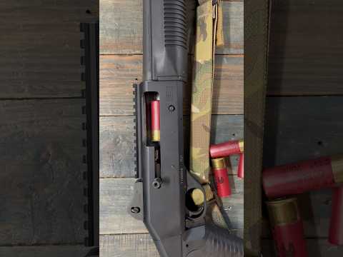 Best Shotgun Period.