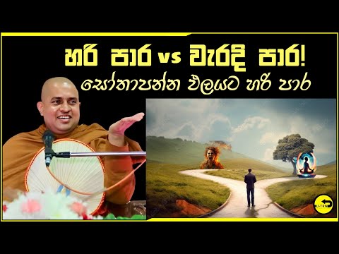 සෝතාපන්න පලයට අවශ්‍ය හරි පාරක් ගැන භික්ශුවකගේ විචිත්‍ර දේශනාවක්-hanwelle medhankara thero