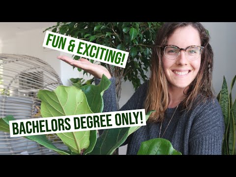 10 Environmental science careers you should know about (& salaries!) Video