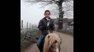 preview picture of video 'Monter à cheval avec les copains à Brénazet'