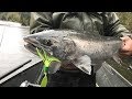The Best Subsurface Coho Salmon Fishing Bites Caught On Camera!
