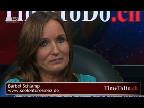 TimeToDo.ch 11.02.2014, Seelentor - Sage ja zum Lebensplan