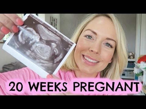 20 WEEKS PREGNANT | HALF WAY & SCAN Video