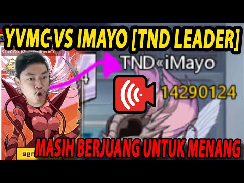 🔴YVMC VS IMAYO [ADU LIMITED MOSQUITO] PEMBALASAN DENDAM! - ONE PUNCH MAN:The Strongest
