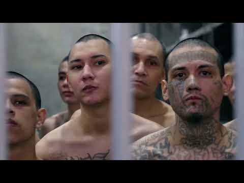 The World's Highest Security Prison CECOT The most evil are kept here