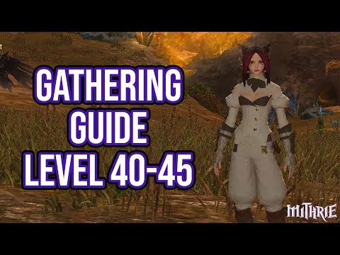 FFXIV 2.0 0100 Gathering Guide Level 40 to 45