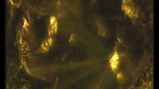 Ubiquitous Mr Lovegrove