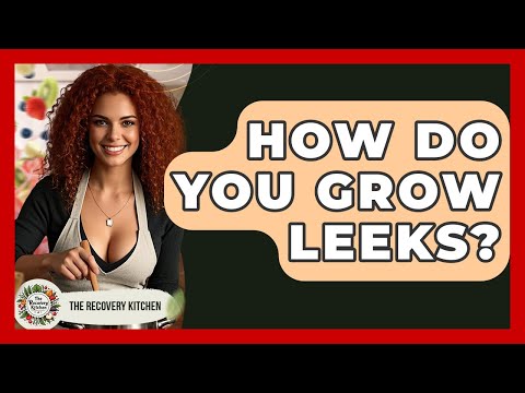 How Do You Grow Leeks? - The Recovery Kitchen